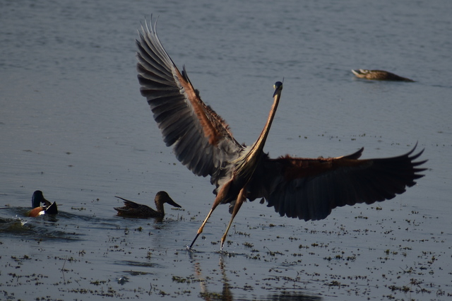 Photo by Vinothkumar