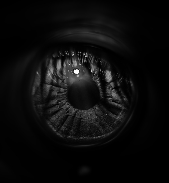 Photo by Gowtham's Gallary