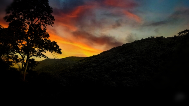 Photo by Gowtham's Gallary