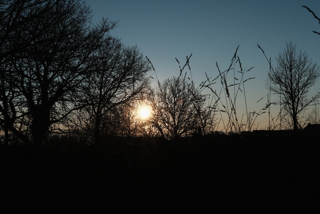 Photo by Luz