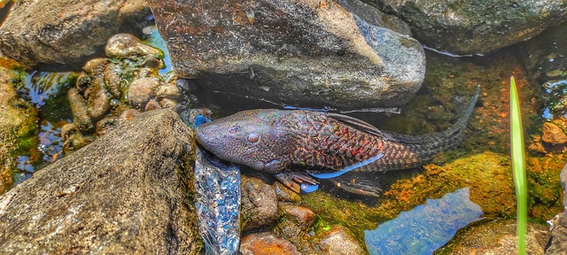 Photo by Selventheran M S