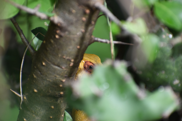 Photo by Vinothkumar