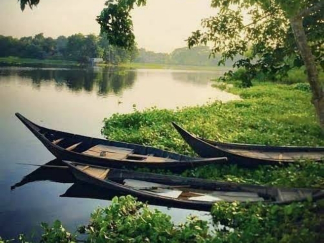 Photo by Maruf Ahmed Tuhin