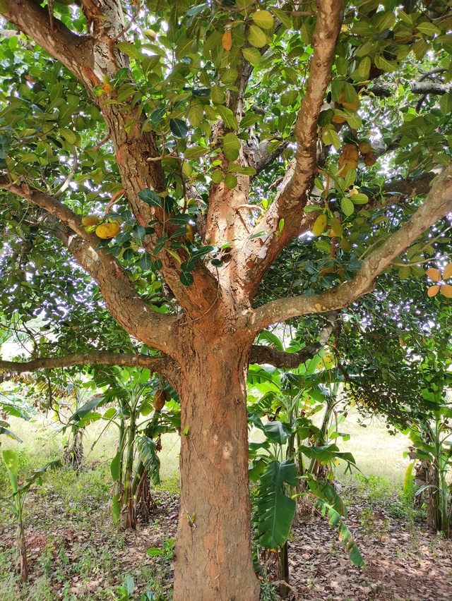 Photo by Ganesh Kumar