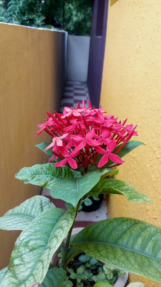 Photo by Ganesh Kumar