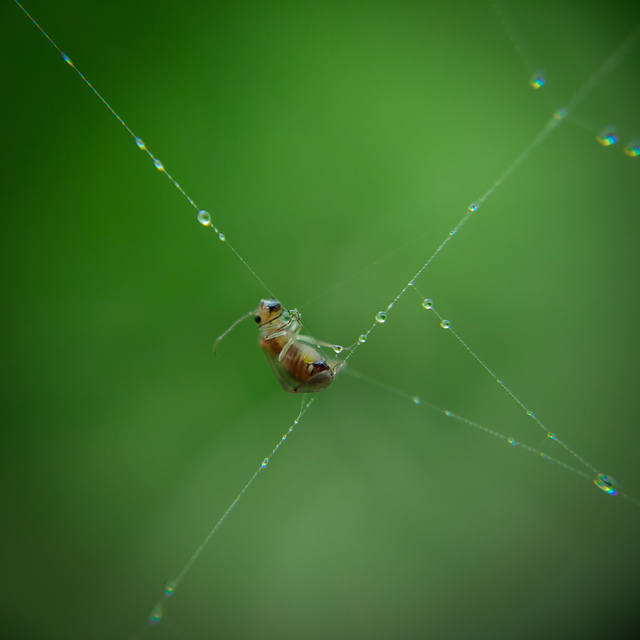 Photo by Pinaki Kar