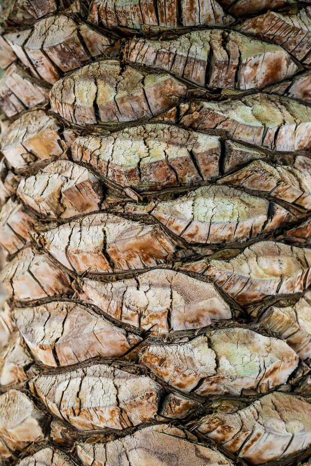 Photo by PEER MOHAMED SUBHAN