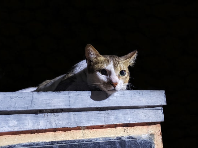 Photo by Abhijith Geetha