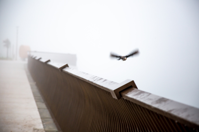 Photo by PEER MOHAMED SUBHAN