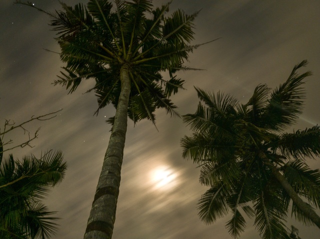 Photo by Biju Mani