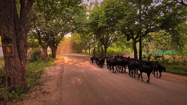 Photo by Venkatesh Babu