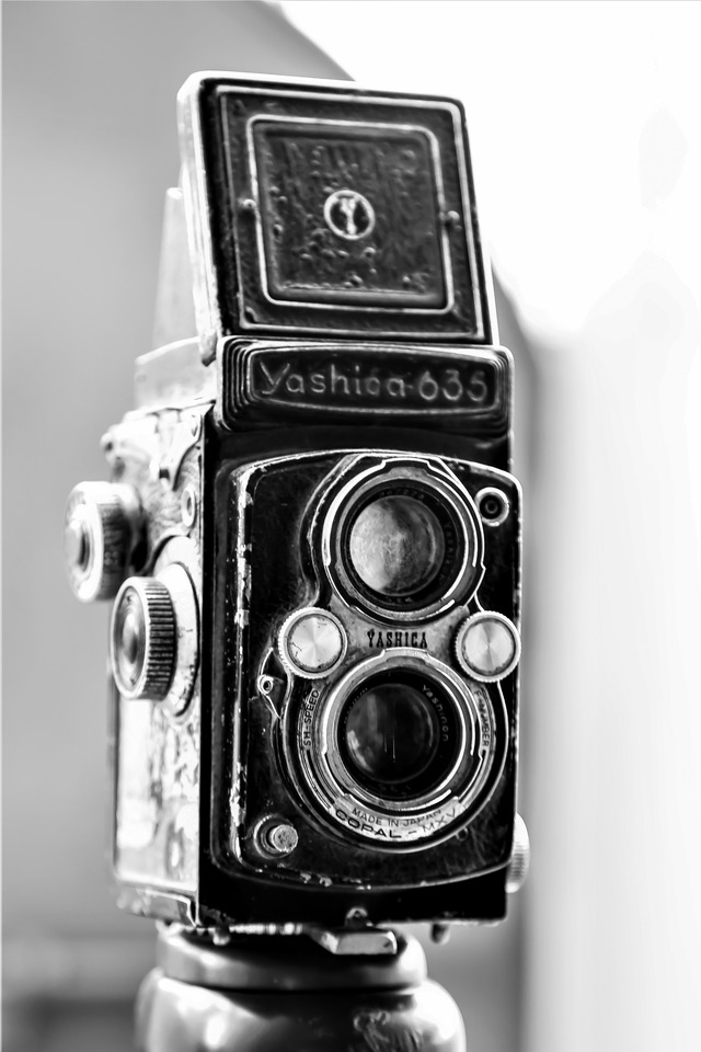 Photo by PEER MOHAMED SUBHAN