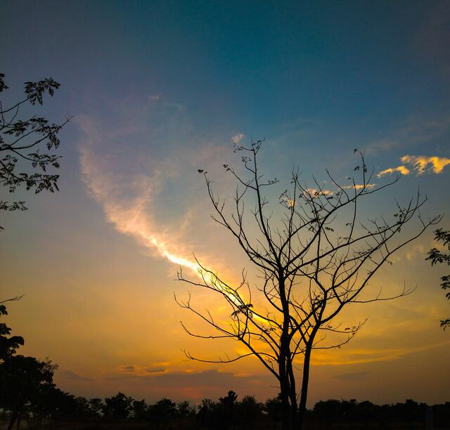 Photo by nsaivarun chitrapustakam