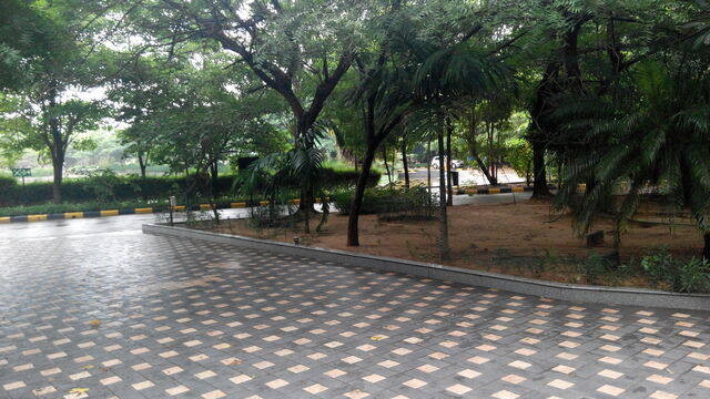 Photo by Ganesh Kumar