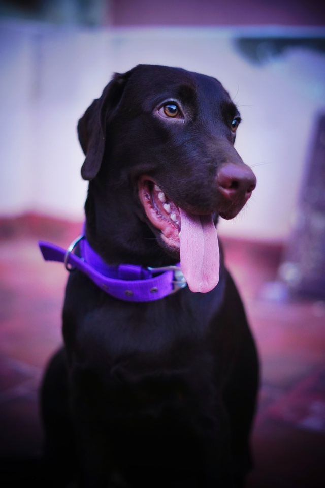 Photo by Don_fotograph