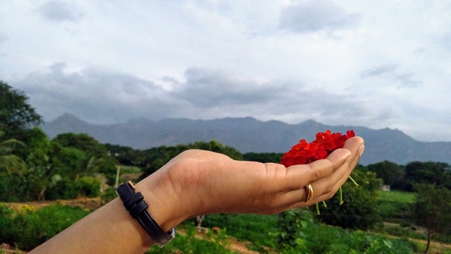 Photo by Ganesh Kumar