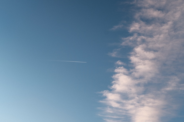 Photo by Luz