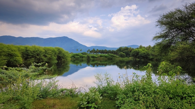 Photo by Venkatesh Babu