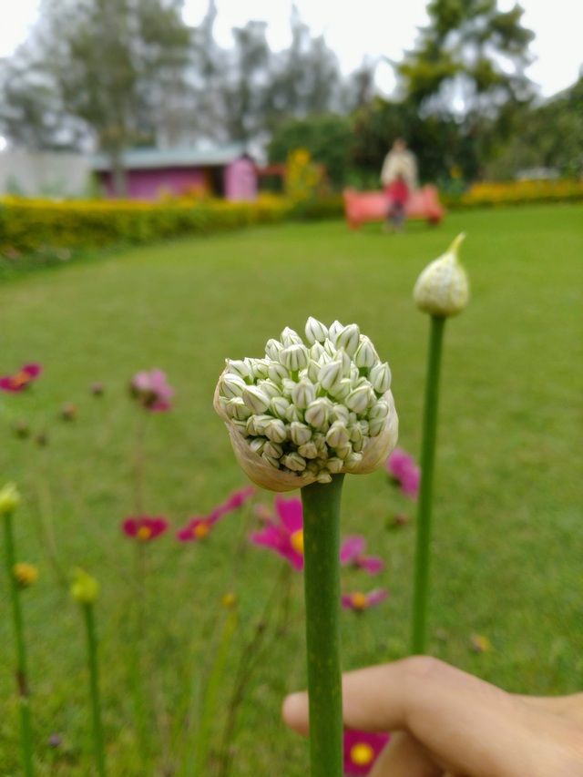 Photo by Ganesh Kumar