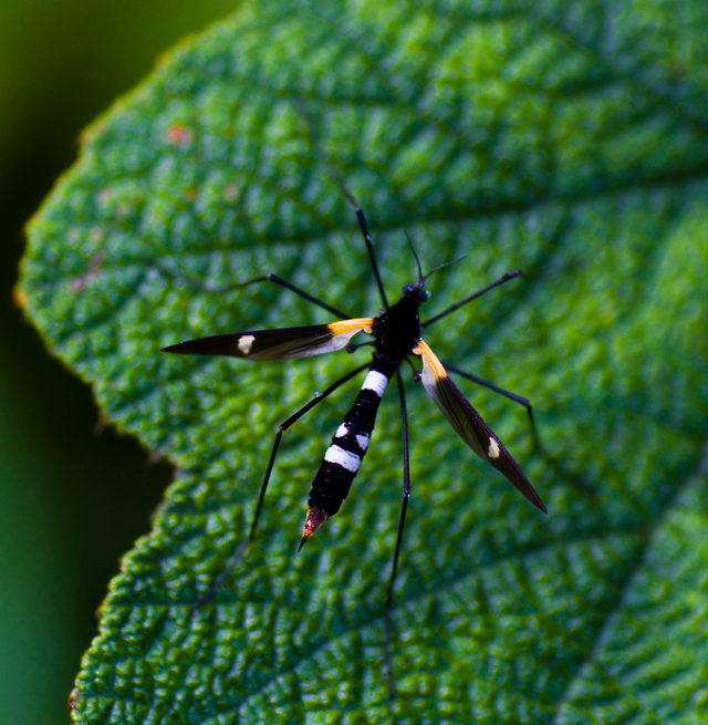 Photo by Venkatesh Babu