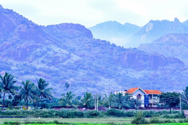 Photo by PEER MOHAMED SUBHAN