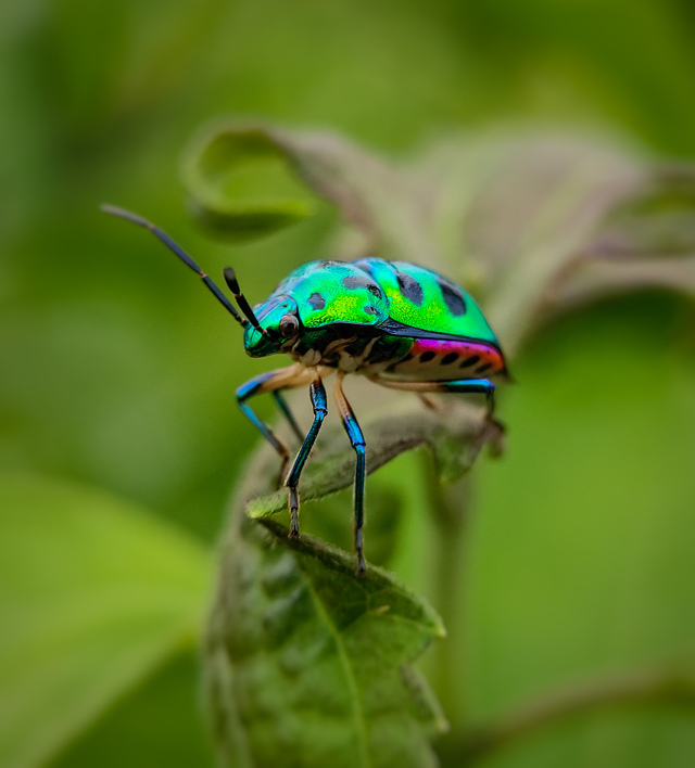 Photo by Sanjeev Kumar Mishra